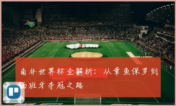 南非世界杯全解析:从章鱼保罗到西班牙夺冠之路