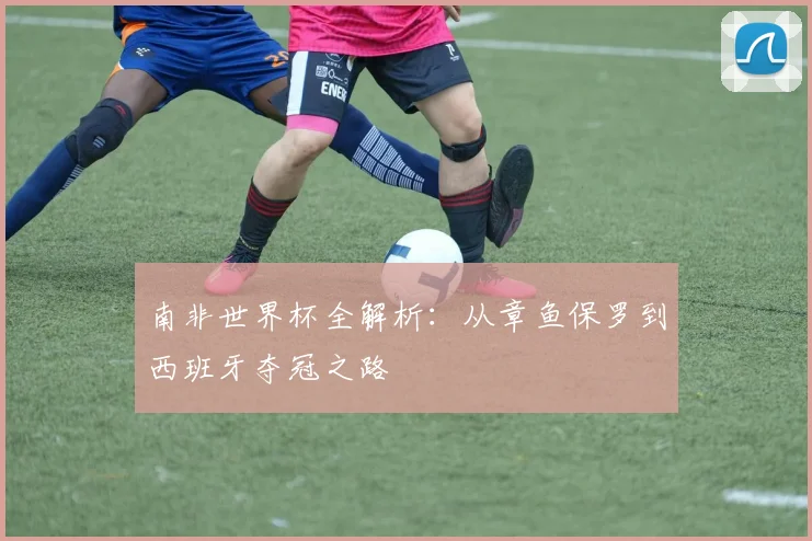 南非世界杯全解析:从章鱼保罗到西班牙夺冠之路